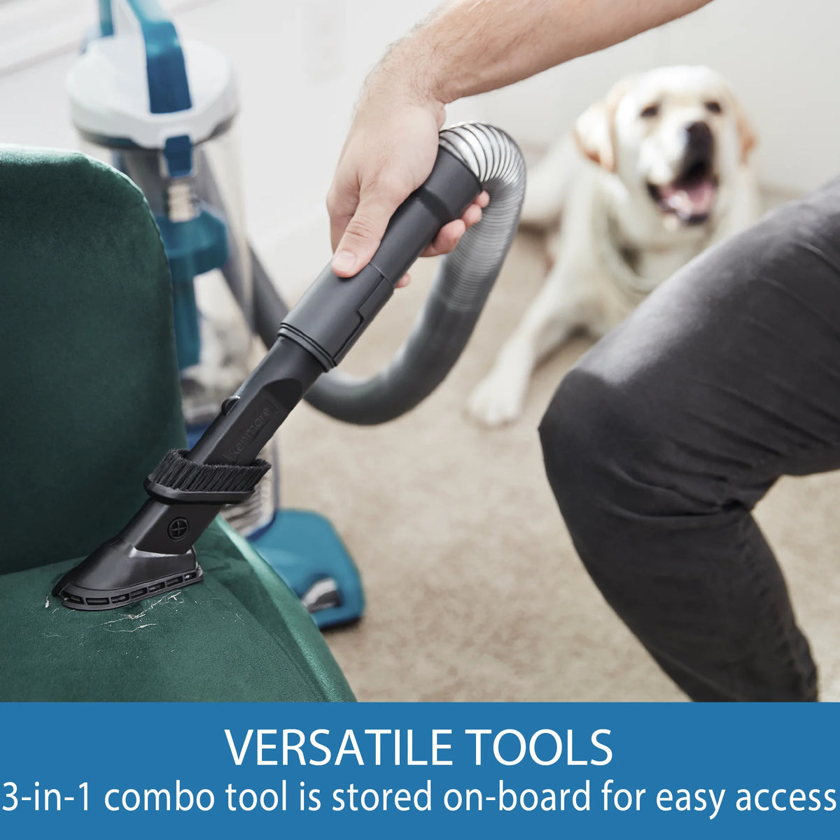 Kenmore AllergenSeala?�� Bagless Upright Multi Surface Vacuum with Hair Eliminator?? Brushroll a?? DU2109