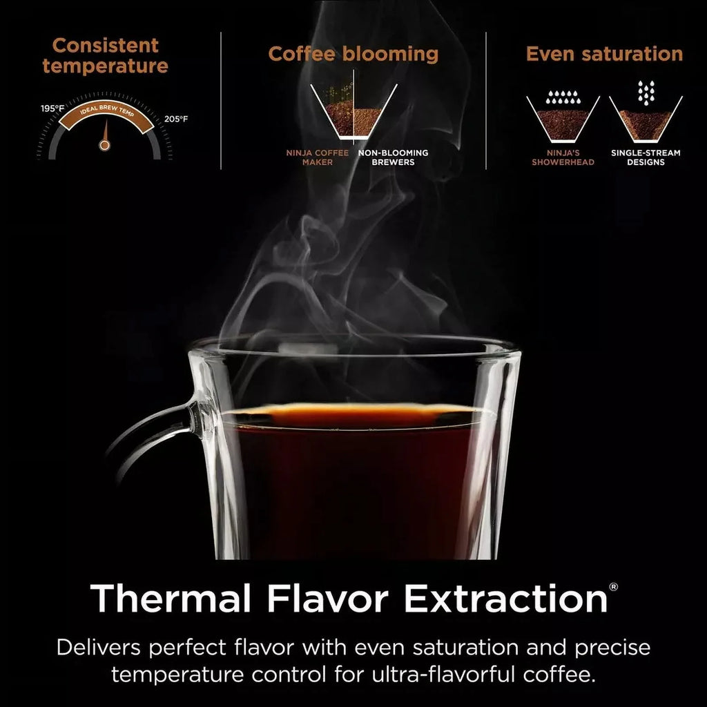 Ninja Hot & Iced XL Coffee Maker with Rapid Cold Brew