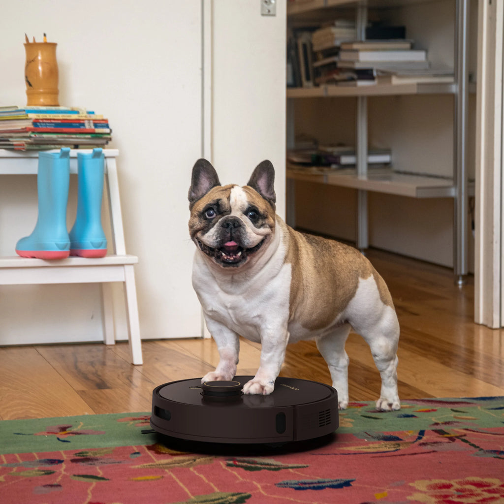 bObsweep Orb-i Robot Vacuum, 100-Day-Self Empeting bin, 5000pa Suction, Blackberry, New