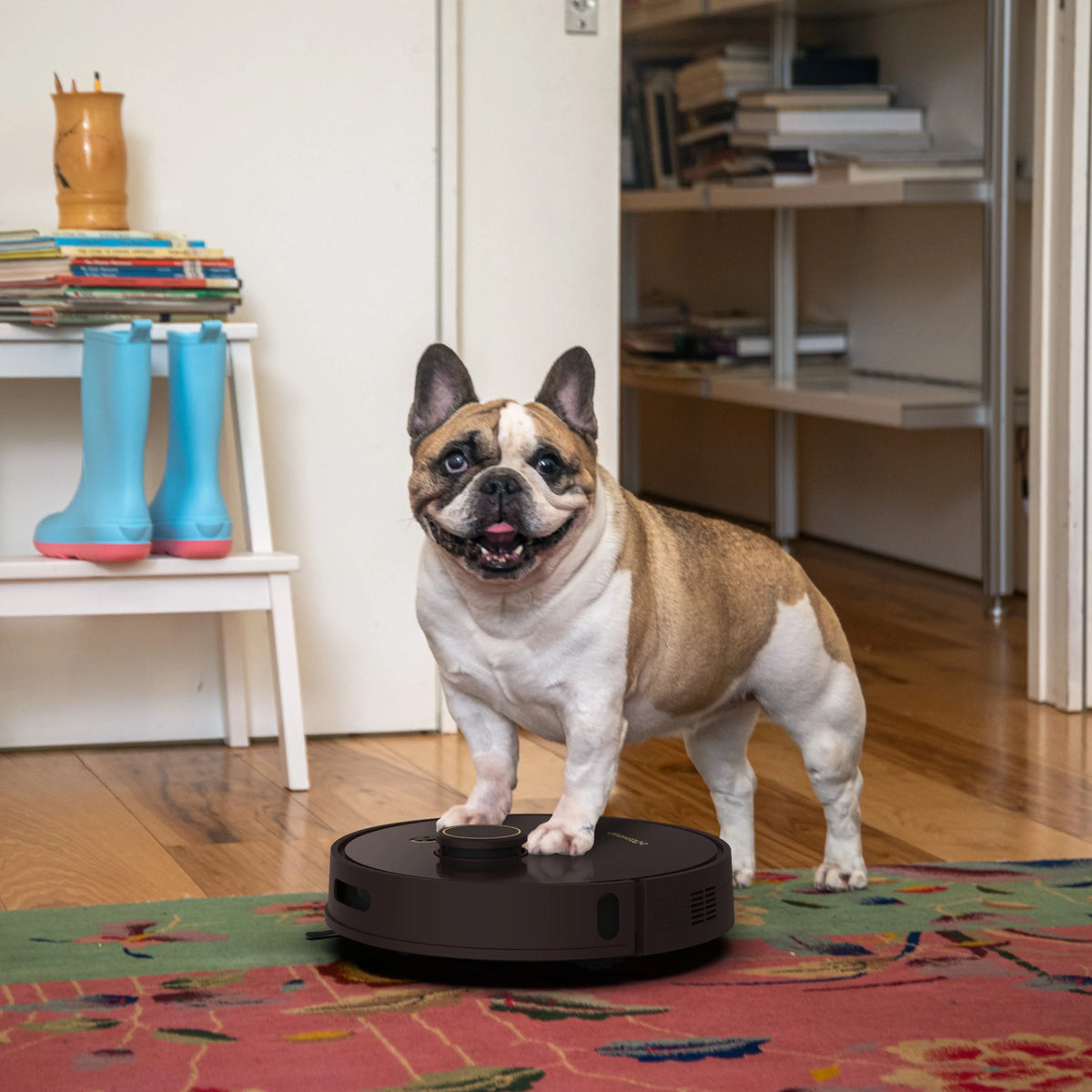 bObsweep Orb-i Robot Vacuum, 100-Day-Self Empeting bin, 5000pa Suction, Blackberry, New