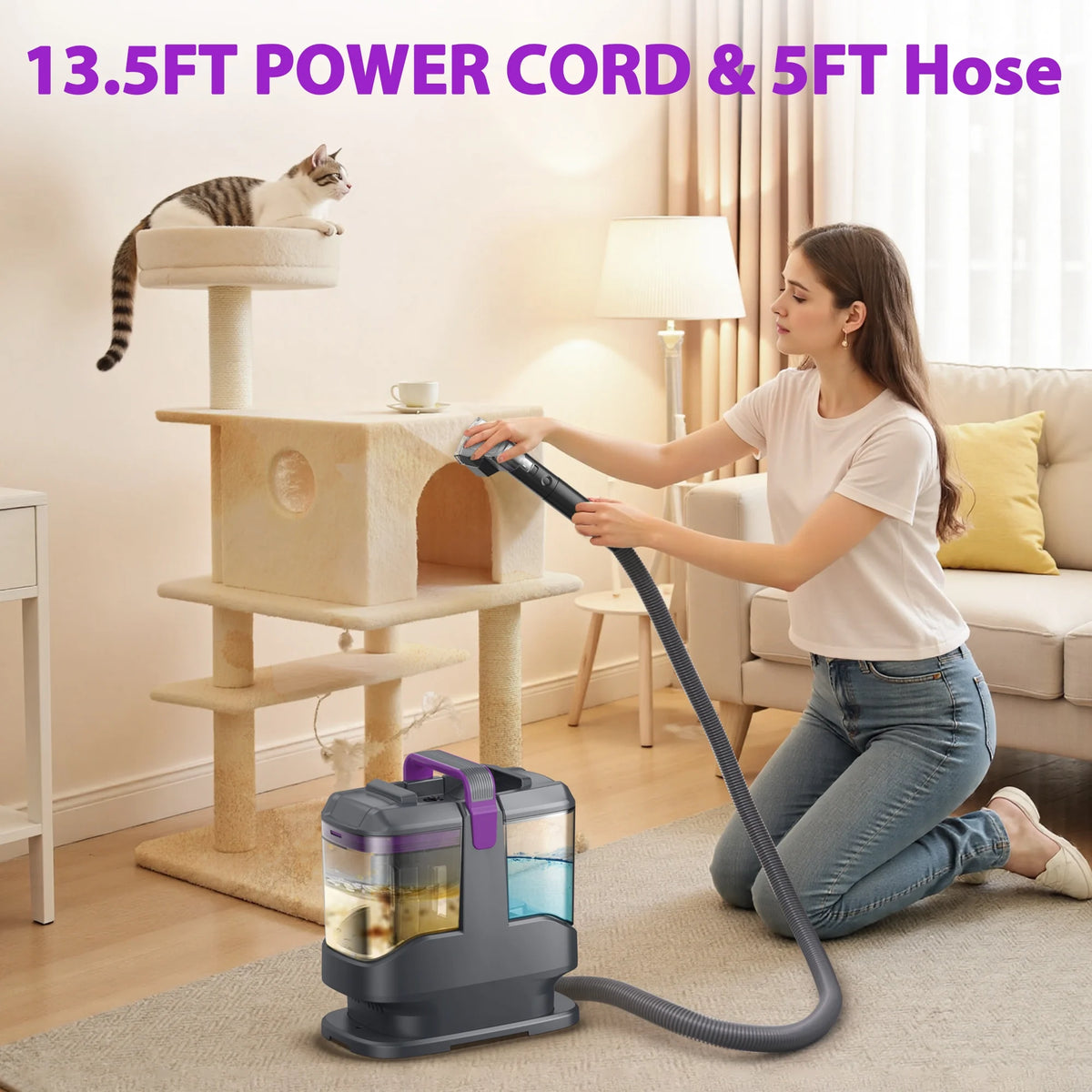 INSE Portable Carpet and Upholstery Vacuum Cleaner, Includes 8.5oz Stain Lifter