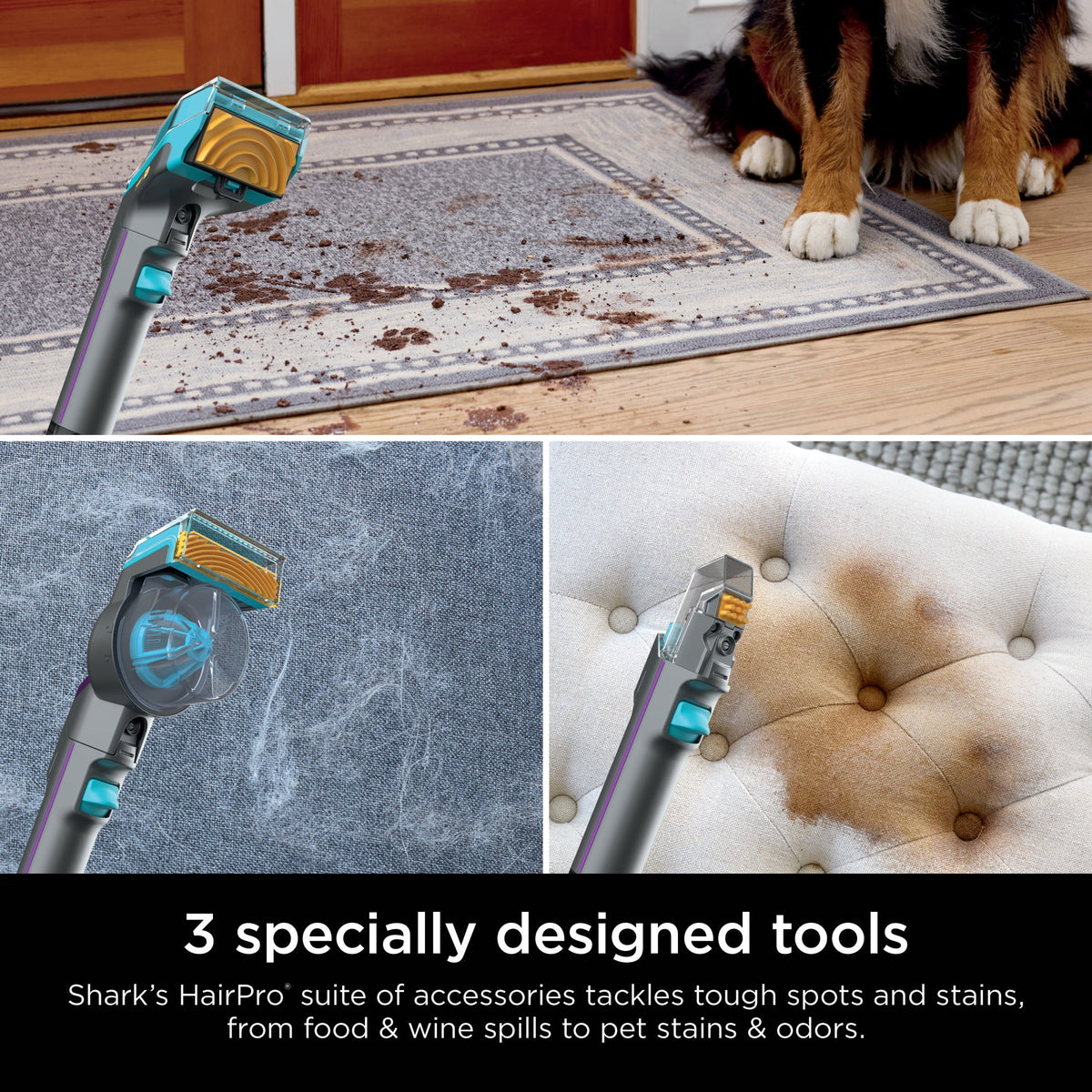 Shark StainStriker HairPro Carpet and Upholstery Cleaner, Portable with 3 Tools, 6oz Deep Clean Pro Formula and 12oz OXY Multiplier Formula, PX250 Dark Silver/Fuchsia