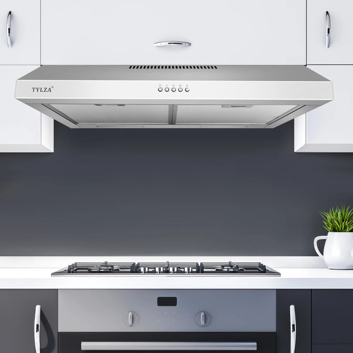 Tylza 30" 600 CFM Stainless Steel Kitchen Under Cabinet Range Hood with 2 x 2W LED Lights and 2 Replacement Charcoal Filter