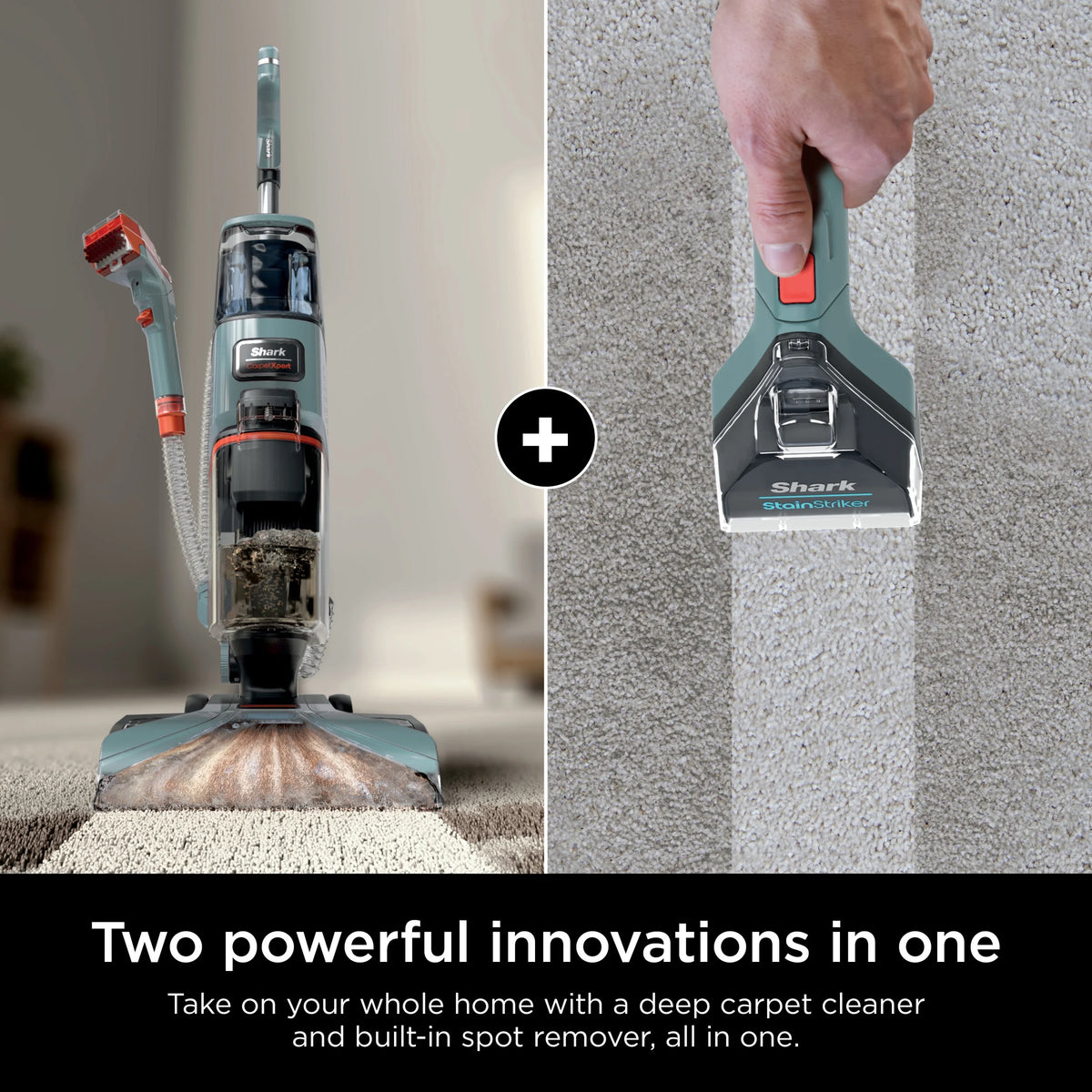 Shark CarpetXpert Upright Deep Carpet, Area Rug & Upholstery Cleaner with Built-in Spot & Stain Eliminator and 12 oz Deep Clean Pro Cleanser, EX150