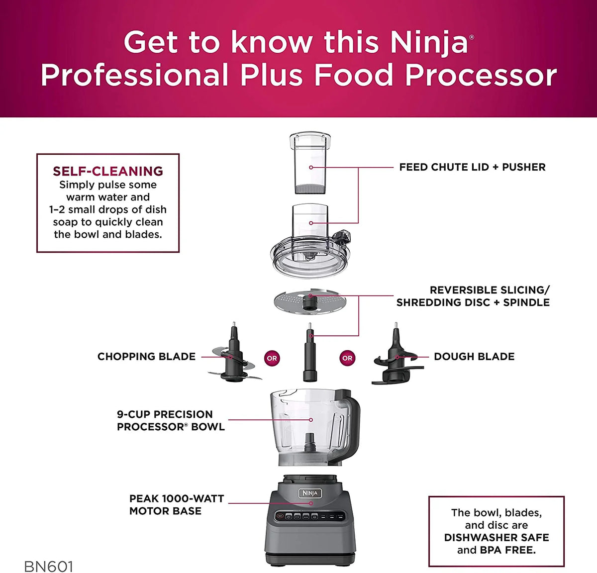Restored Ninja BN601 Plus Food Processor 1000 Watts Autoiq, Chop Slice Shred, 9Cup Silver Stainless (Refurbished)