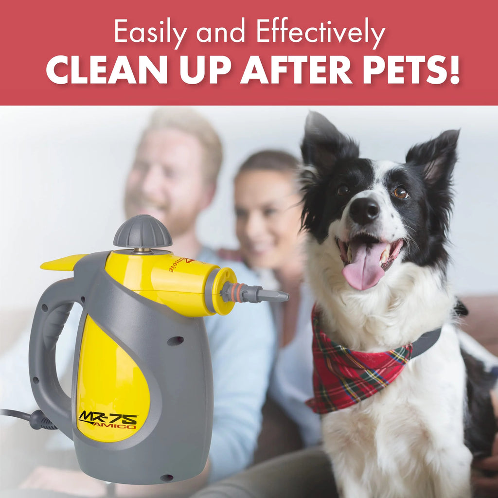 Vapamore MR-75 Amico Handheld Professional-Grade Steam Cleaner for Upholstery, Bathrooms, Cars, and More