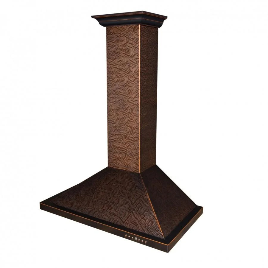 ZLINE 36 in. Outdoor Wall Mount Range Hood in Stainless Steel (KB-304-36)