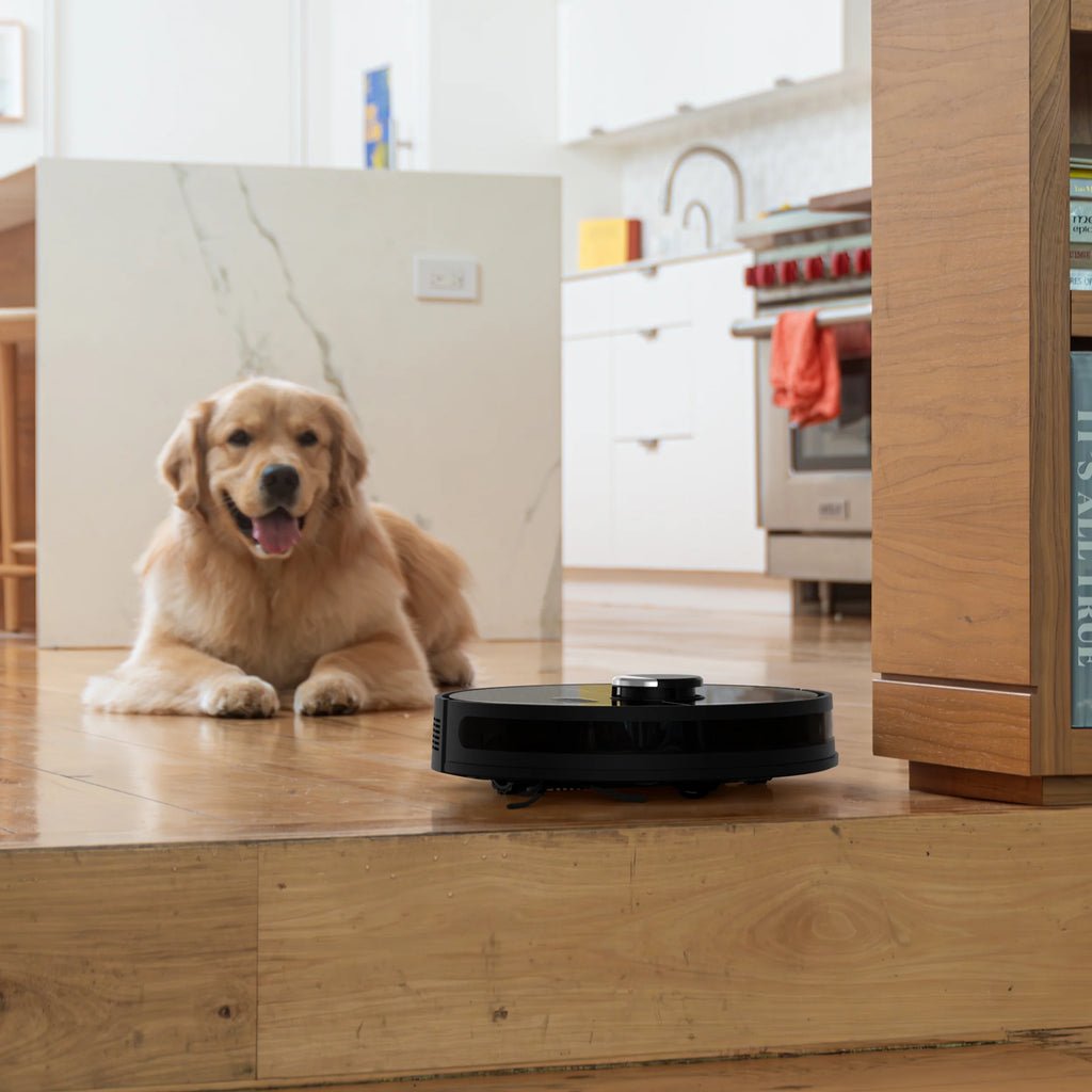 bObsweep Dustin Wi-Fi Connected Self-Emptying Robot Vacuum and Mop, Black