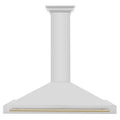 ZLINE 48 in. Autograph Edition Stainless Steel Range Hood with Stainless Steel Shell and Accents (KB4STZ-48)