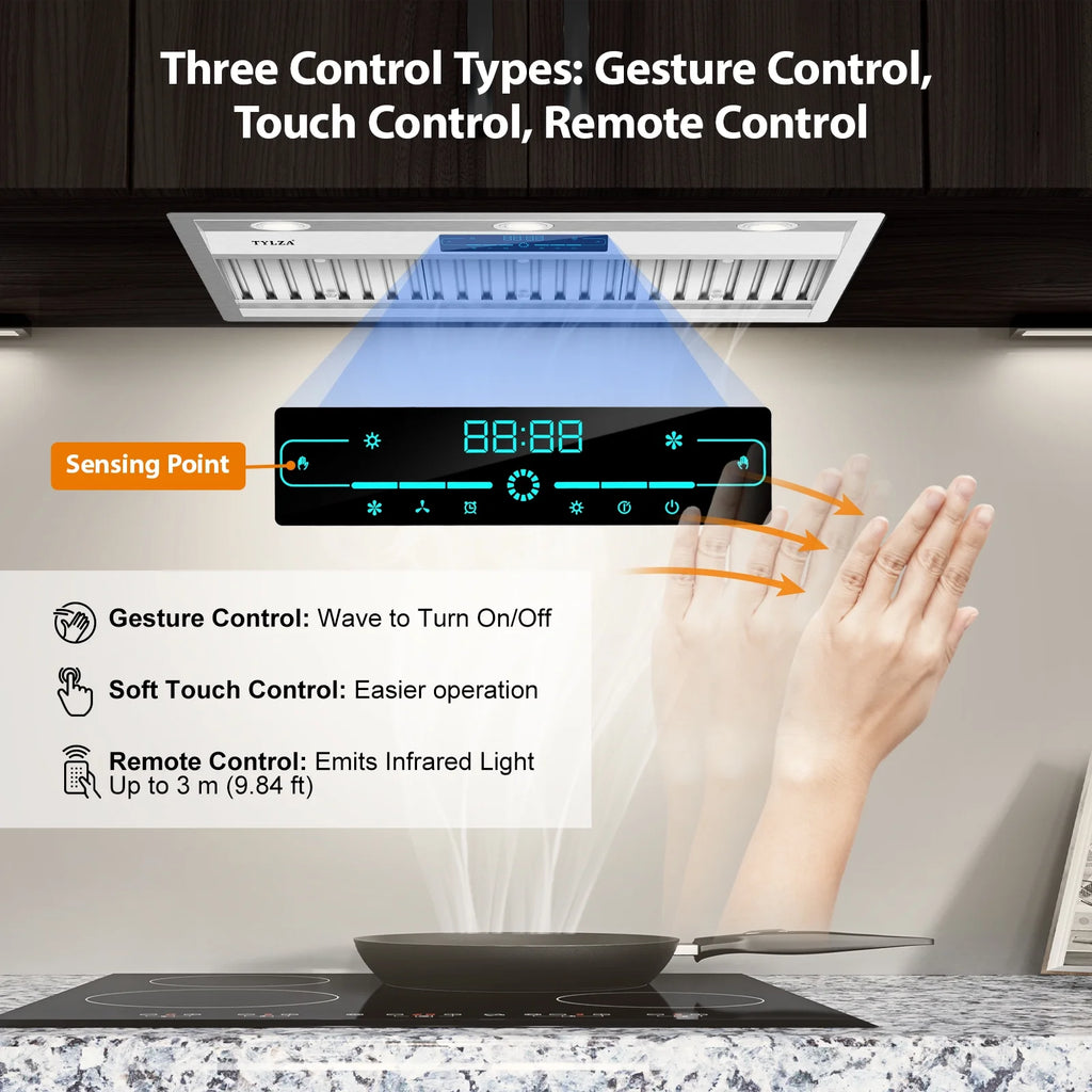 30 inch Built-in/Insert Range Hood, 900 CFM Ducted/Ductless Insert Range Hood with Charcoal Filter