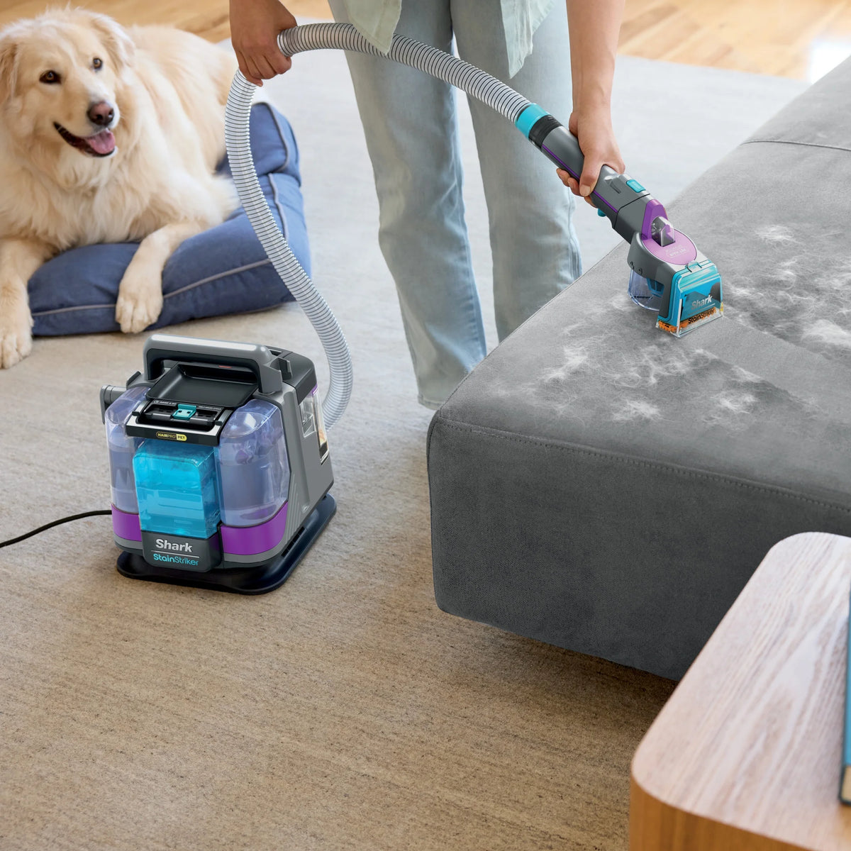 Shark StainStriker HairPro Carpet and Upholstery Cleaner, Portable with 3 Tools, 6oz Deep Clean Pro Formula and 12oz OXY Multiplier Formula, PX250 Dark Silver/Fuchsia