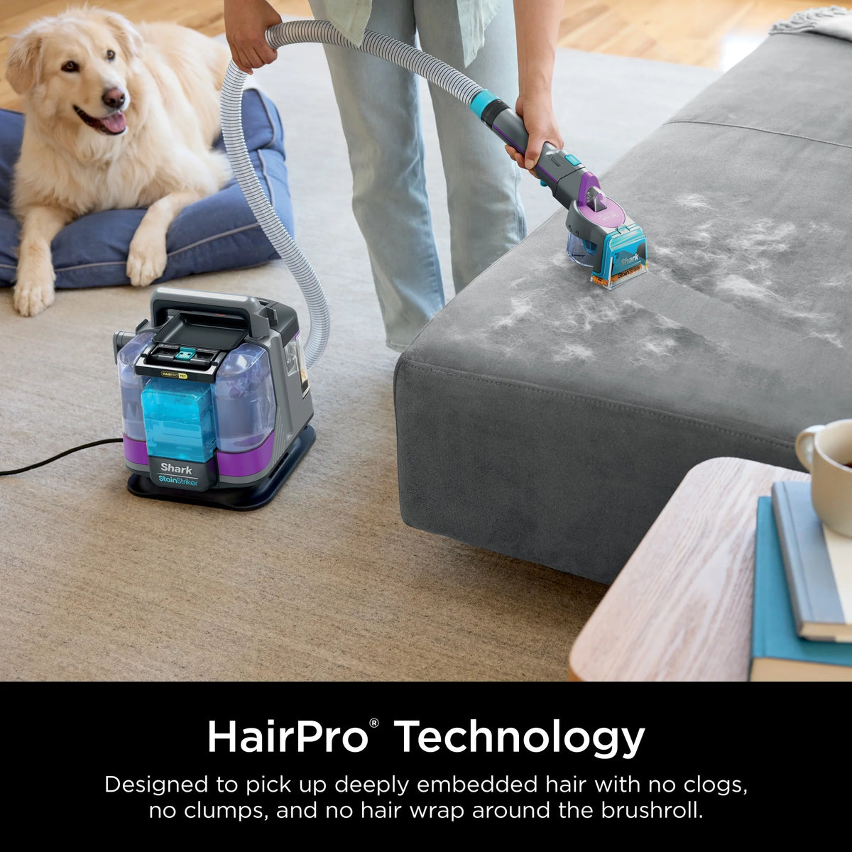Shark StainStriker HairPro Carpet and Upholstery Cleaner, Portable with 3 Tools, 6oz Deep Clean Pro Formula and 12oz OXY Multiplier Formula, PX250 Dark Silver/Fuchsia