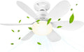 BuzzoXerex Ceiling Fan with Light and Remote Control, 52CM 40W Small Dimmable LED Fan, 2000LM, 3 Colours 3000-6500K, 3 Speed, E27 Socket for Bedroom, Kitchen, Bathroom