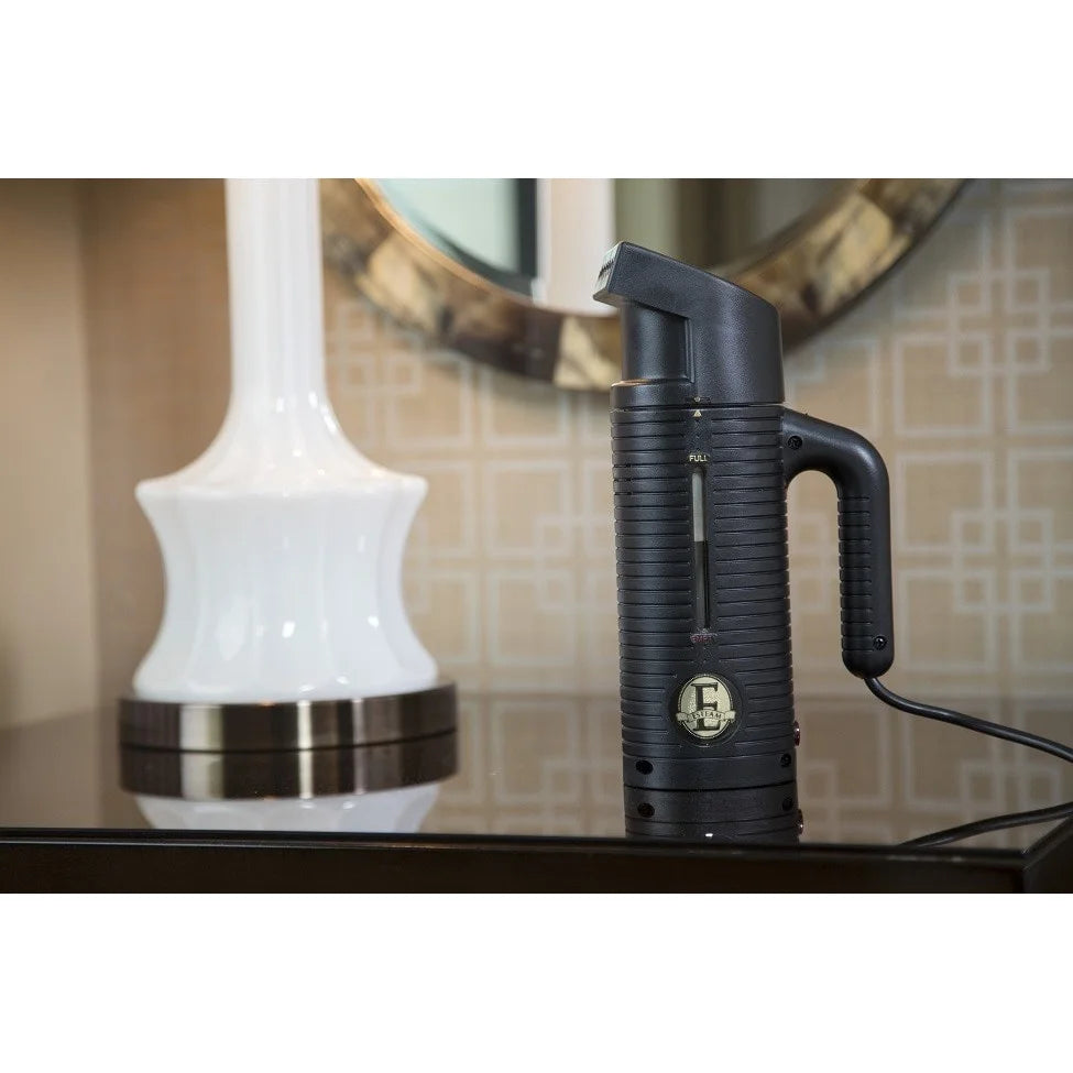 Portable Electric Garment Steamer - 0601