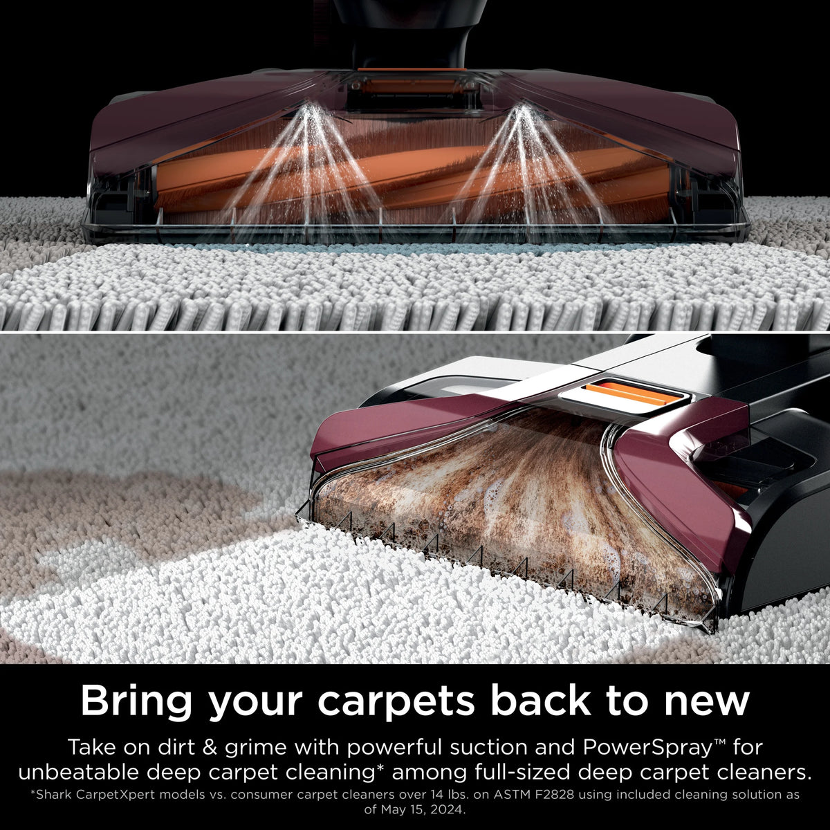 Shark CarpetXpert Upright Deep Carpet, Area Rug & Upholstery Cleaner with Built-in Spot & Stain Eliminator and 12 oz Deep Clean Pro Cleanser, EX150