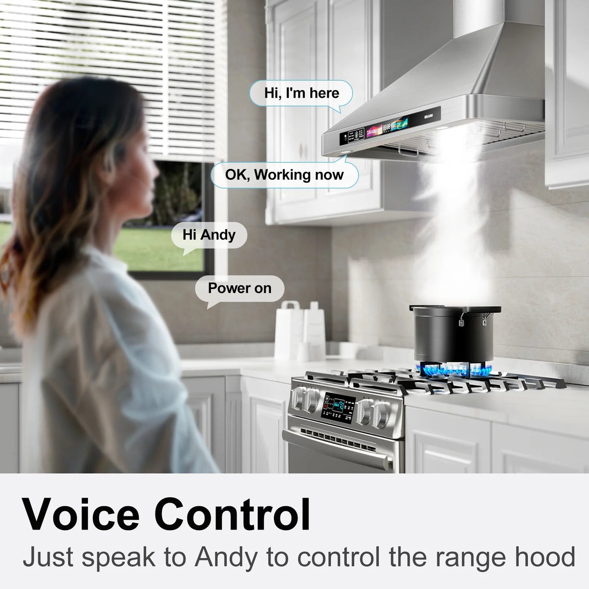 BRANO 30 Inch Wall Mount Range Hood Stainless Steel Hood, 900 CFM, Voice Control, 4-Speed