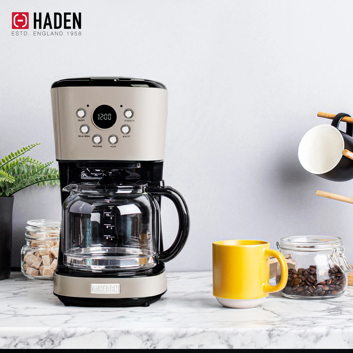 Haden 12 Cup Coffee Maker with 2 Slice Stainless Steel Bread Toaster, White