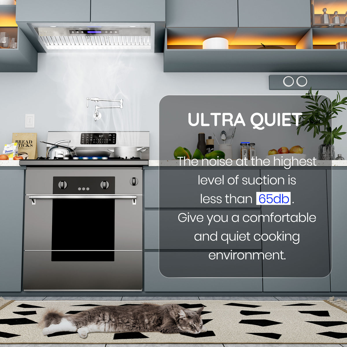 EKON Kitchen Expert 30 inch 900 CFM Convertible Insert Range Hood  with Remote control