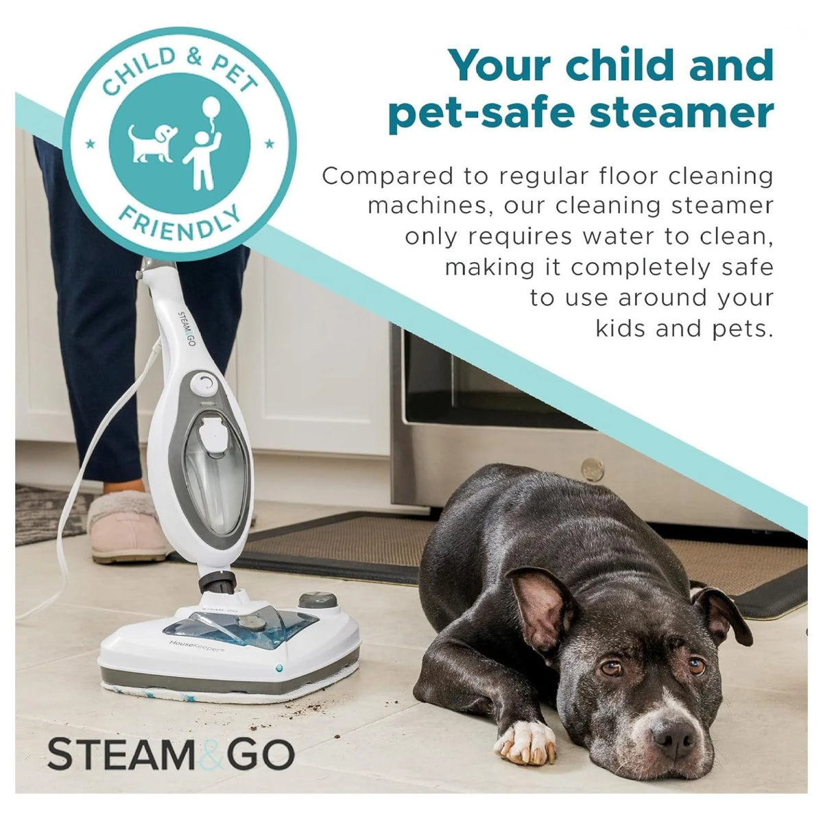 saney 10-in-1 Steam Mop - Floor Steamer with Chamber and Detachable Handle for Tile Grout, Clothes, Furniture, Hardwood, Upholstery, & Carpet, Handheld Steam Cleaner for Home Use
