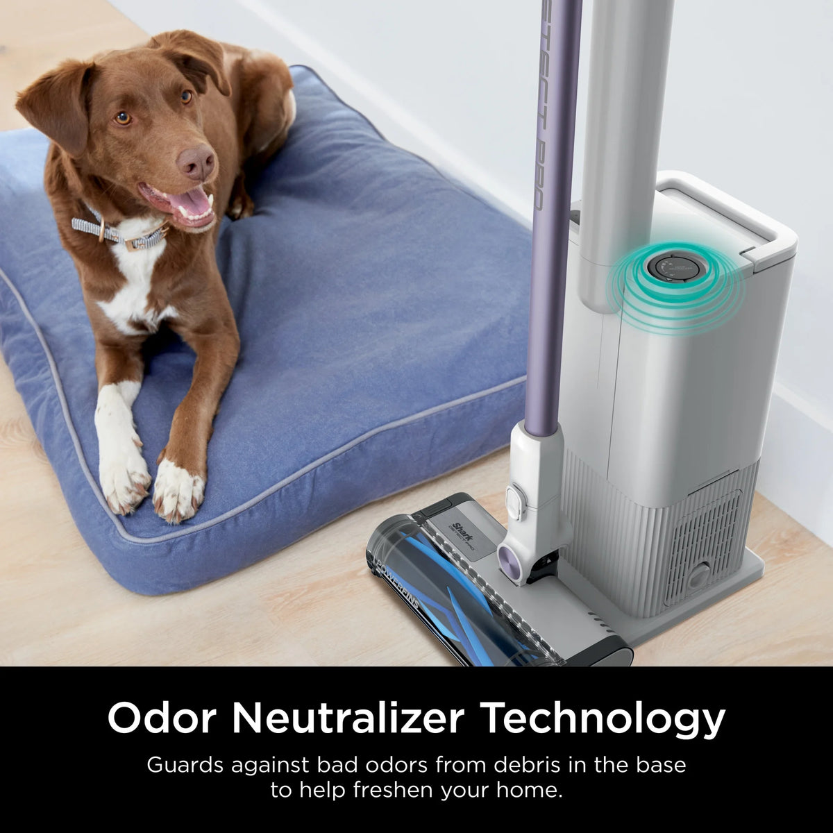 Shark Detect Clean & Auto Empty System, Cordless Stick Vacuum Cleaner- PowerFins Brushroll, LED Headlights
