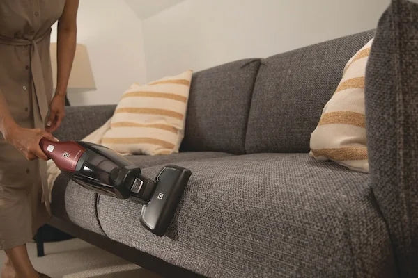 Electrolux Ergorapido Pet Cordless 2-in-1 Vacuum for Pet Hair Removal