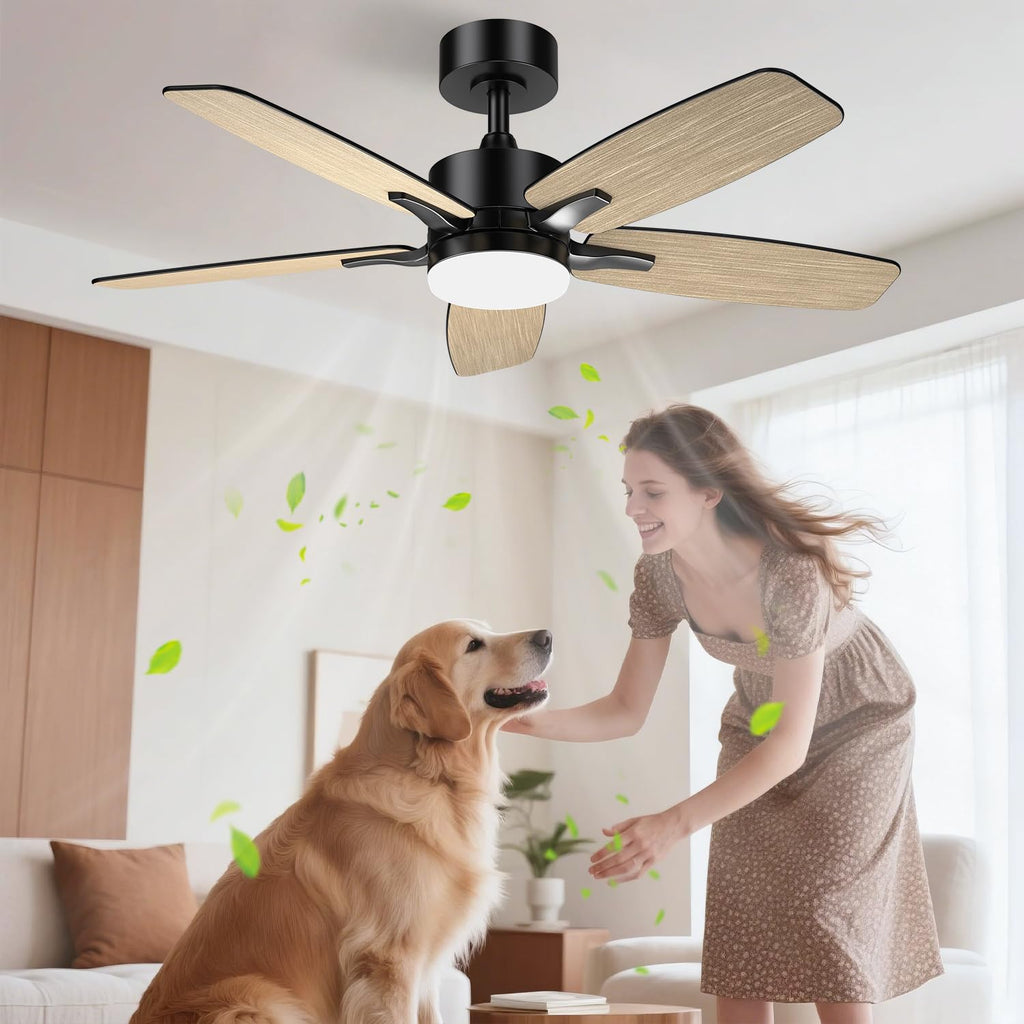 Airwit 106 cm Ceiling Fan with Light Double Sided Blade, Silent LED Ceiling Fan with Remote Control and Reversible DC Motor for Bedroom, Living Room, Kitchen
