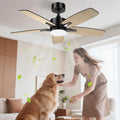 Airwit 106 cm Ceiling Fan with Light Double Sided Blade, Silent LED Ceiling Fan with Remote Control and Reversible DC Motor for Bedroom, Living Room, Kitchen