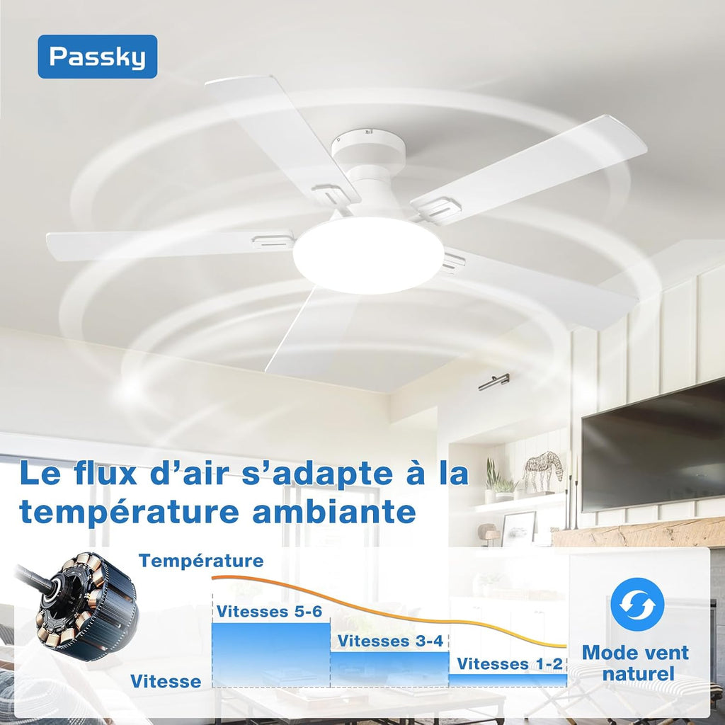Passky Ceiling Fan 52 Inch with Lighting and Remote Control, Silent DC Motor, 5 Blades, 6 Speed, 3 Color Temperatures, Timer, White