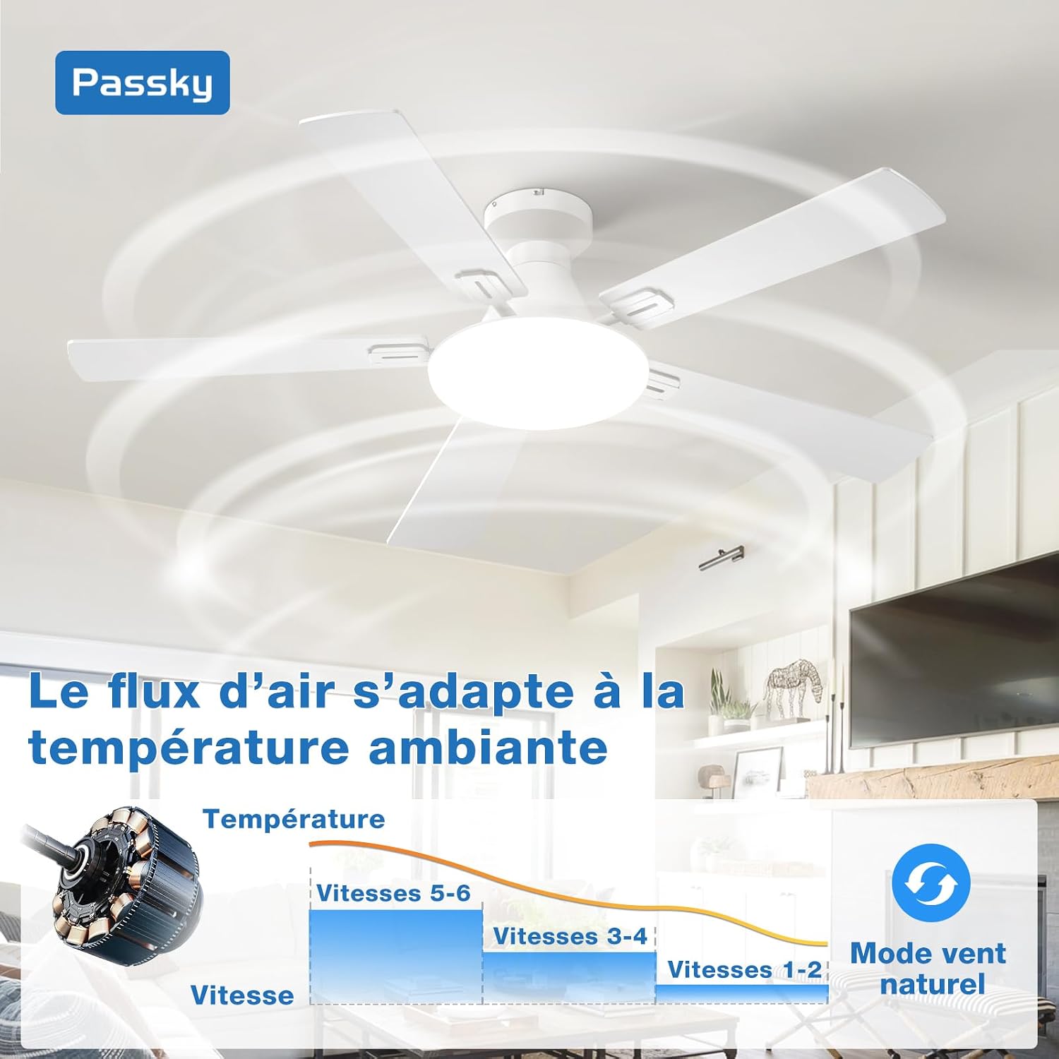 Passky Ceiling Fan 52 Inch with Lighting and Remote Control, Silent DC Motor, 5 Blades, 6 Speed, 3 Color Temperatures, Timer, White