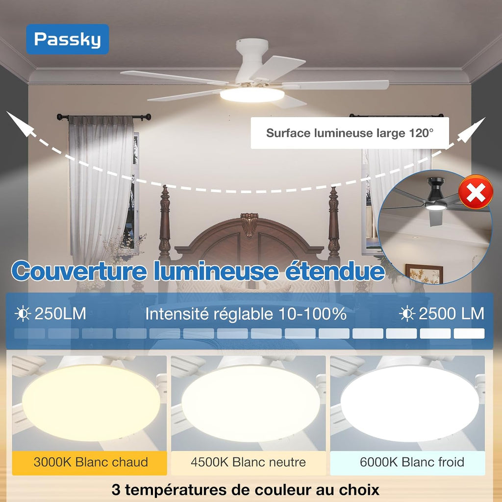 Passky Ceiling Fan 52 Inch with Lighting and Remote Control, Silent DC Motor, 5 Blades, 6 Speed, 3 Color Temperatures, Timer, White