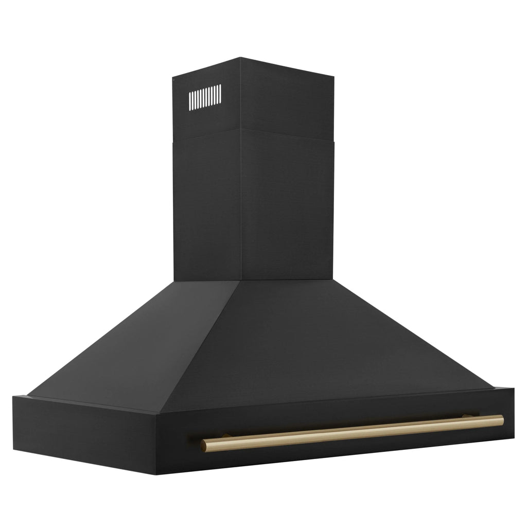 ZLINE KITCHEN AND BATH BS655Z48G ducted hood