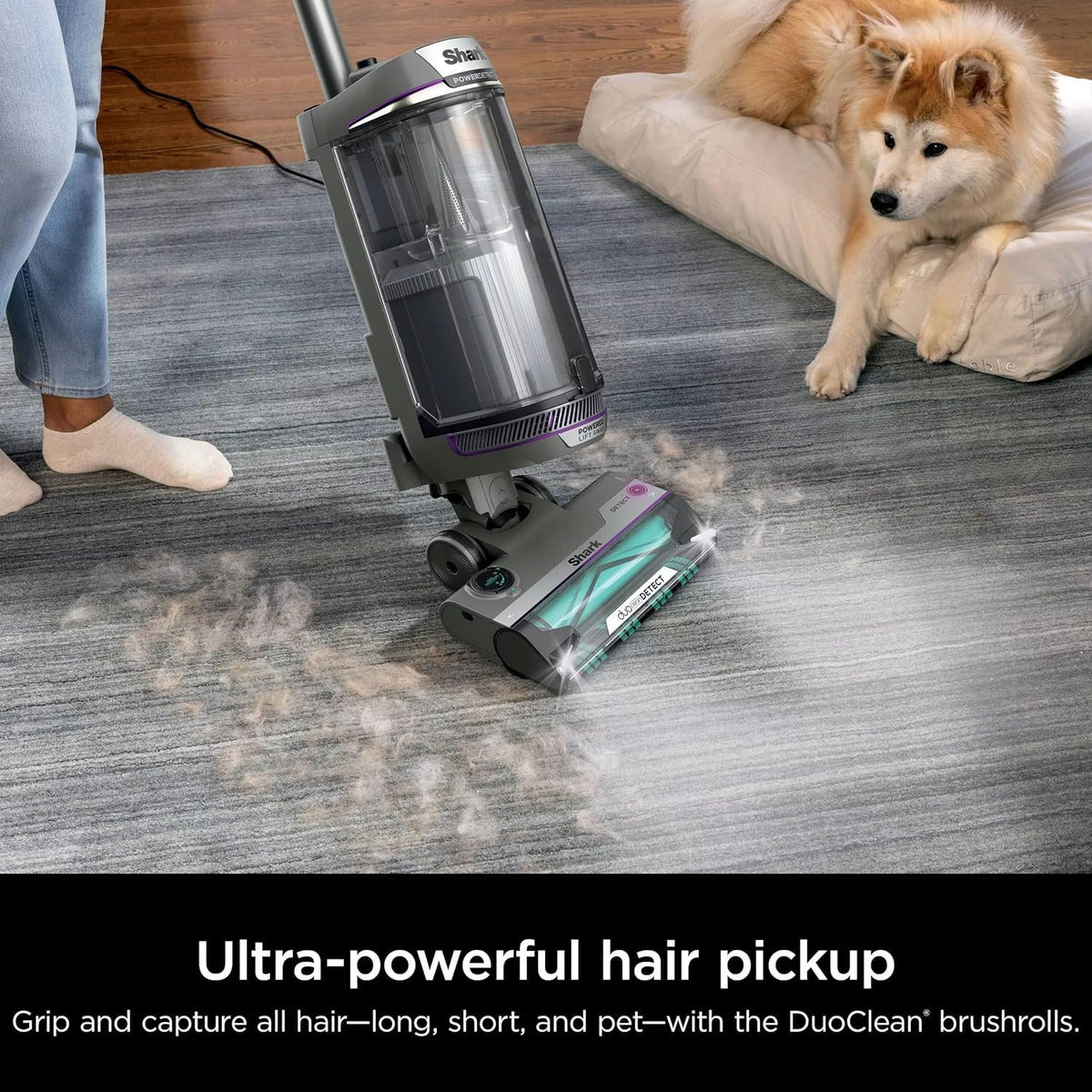 Restored Shark AZ3901 POWERDETECT Upright Vacuum Cleaner with DuoClean Technology, Odor Neutralizer Technology, Powered Lift-Away, Self Cleaning Brushroll (Refurbished)