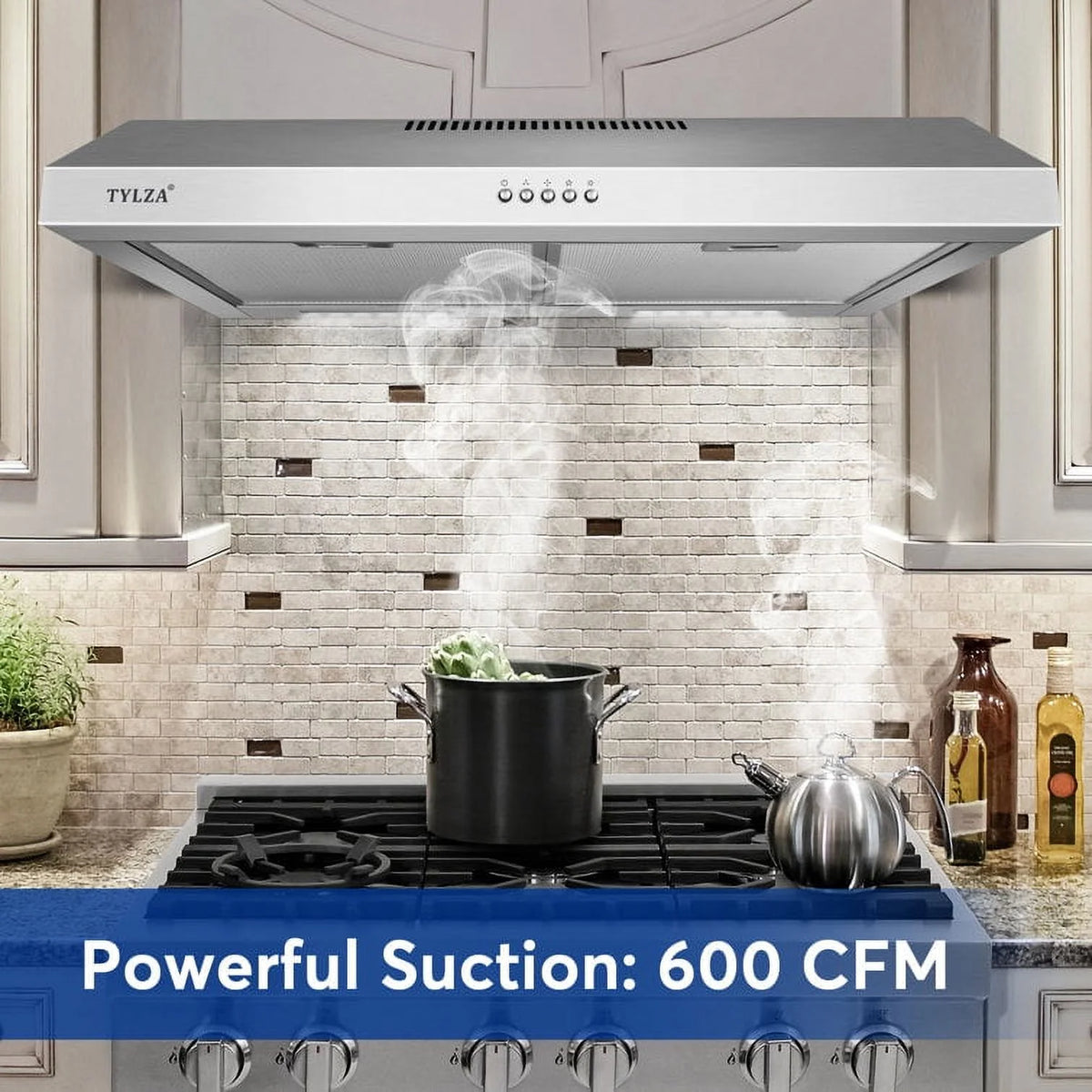 Tylza 30" 600 CFM Stainless Steel Kitchen Under Cabinet Range Hood with 2 x 2W LED Lights and 2 Replacement Charcoal Filter