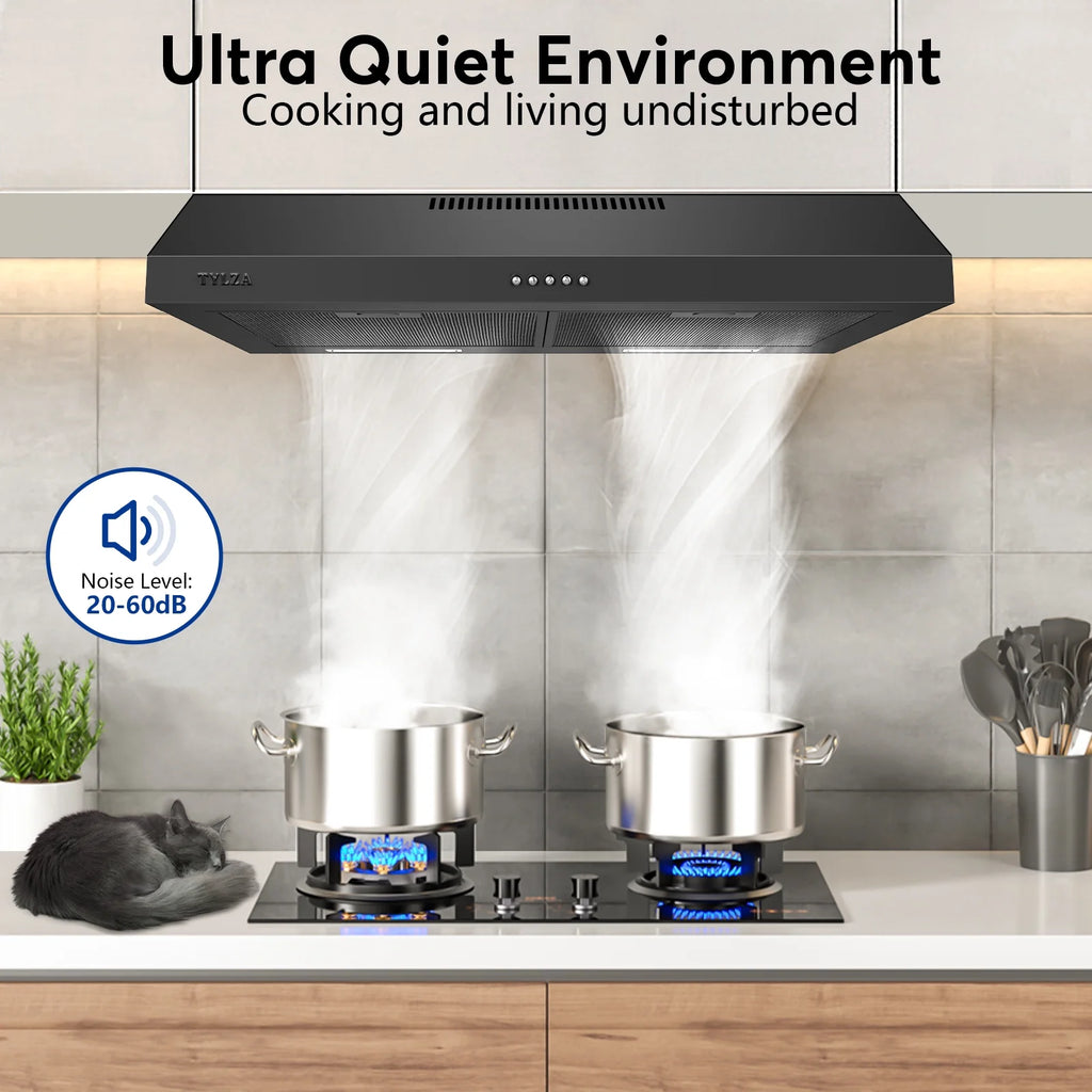 Tylza 30" 600 CFM Stainless Steel Kitchen Under Cabinet Range Hood with 2 x 2W LED Lights and 2 Replacement Charcoal Filter