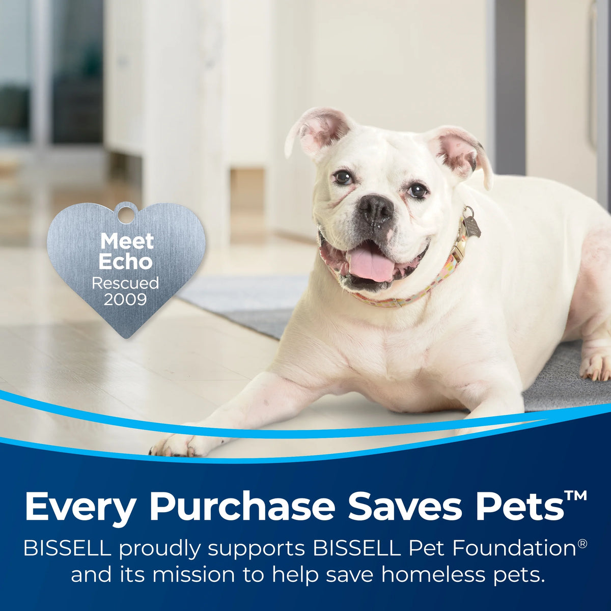 BISSELL Pro Heat 2X Revolution Pet Carpet Cleaner, 3578 & BISSELL Advanced Pro Max Clean + Protect Deep Cleaning Carpet Formula, 50 oz, 70E1