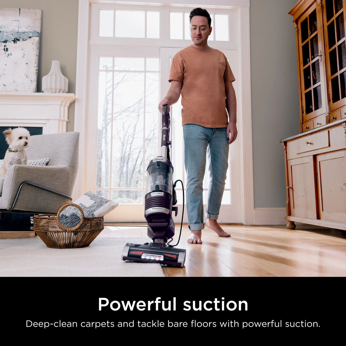 Shark Upright Vacuum, Lift-Away, Pet Friendly, Bagless, PowerFins HairPro & Odor Neutralizer Technology, Hard Floor and Carpet, Self Cleaning Brushroll, Anti Allergen &Swivel Steering , ZD550, Purple