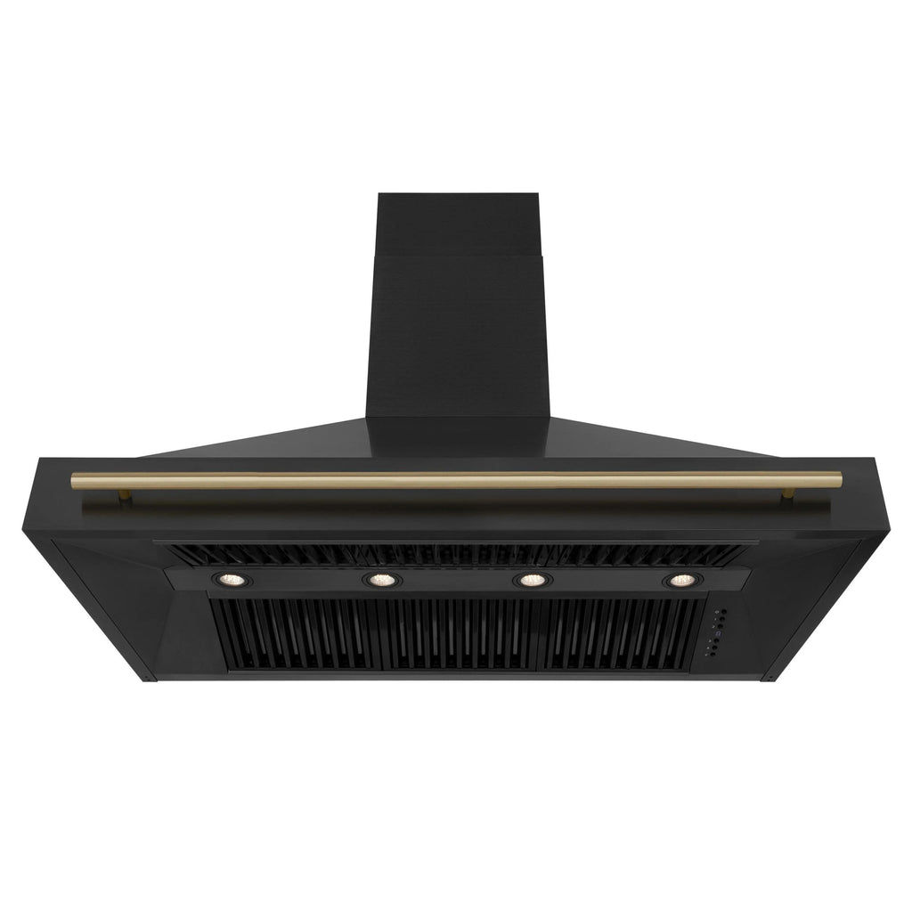 ZLINE KITCHEN AND BATH BS655Z48G ducted hood