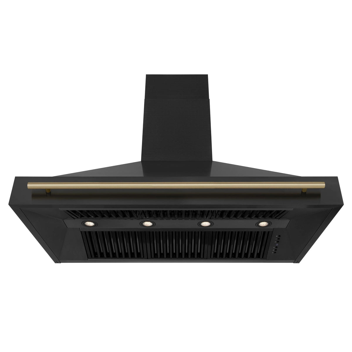 ZLINE KITCHEN AND BATH BS655Z48G ducted hood