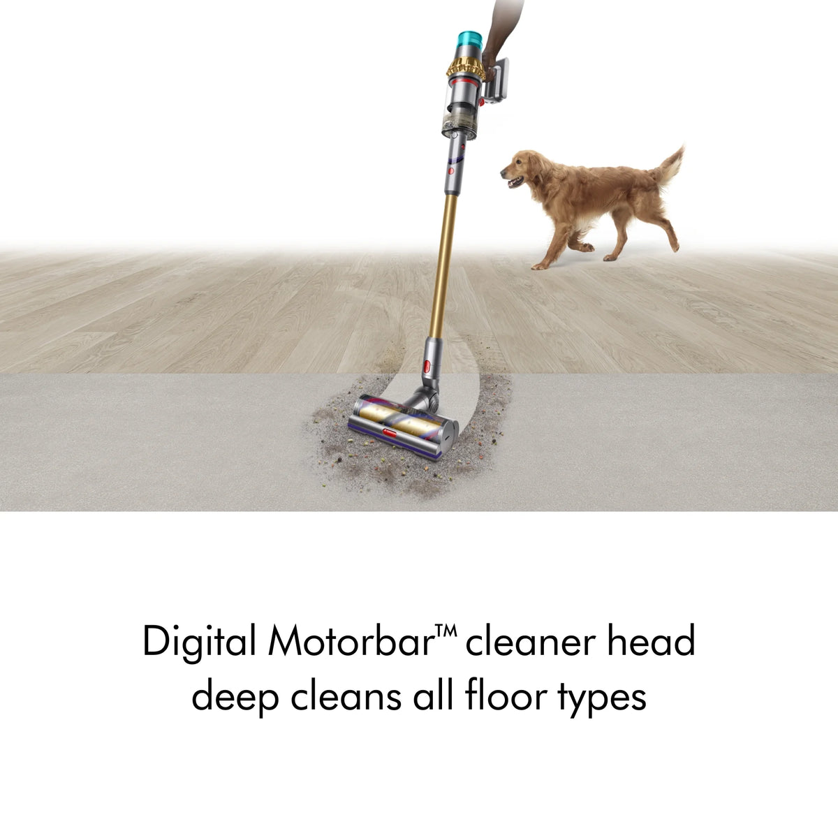 Restored Premium Dyson V15 Detect Absolute Cordless Vacuum | Gold (Refurbished)