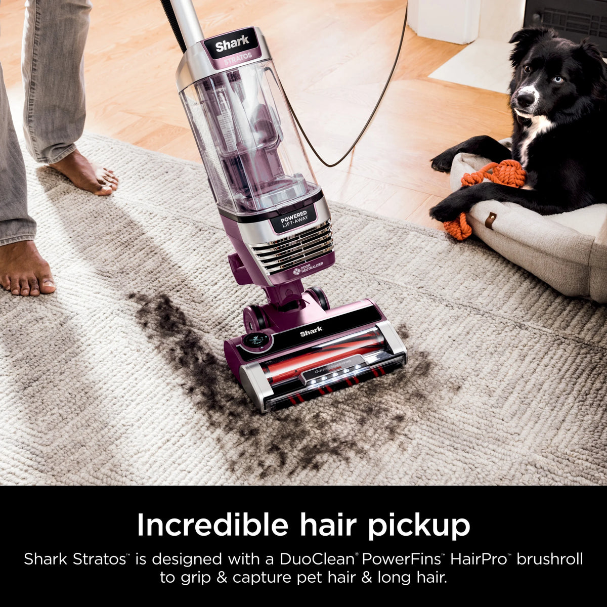 Shark Upright Vacuum, Stratos, Pet Friendly, Bagless, Ultra Powerful Suction, Hard Floor and Carpet, DuoClean PowerFins HairPro, Self-Cleaning Brushroll, Odor Neutralizer Technology, AZ3000, Burgundy