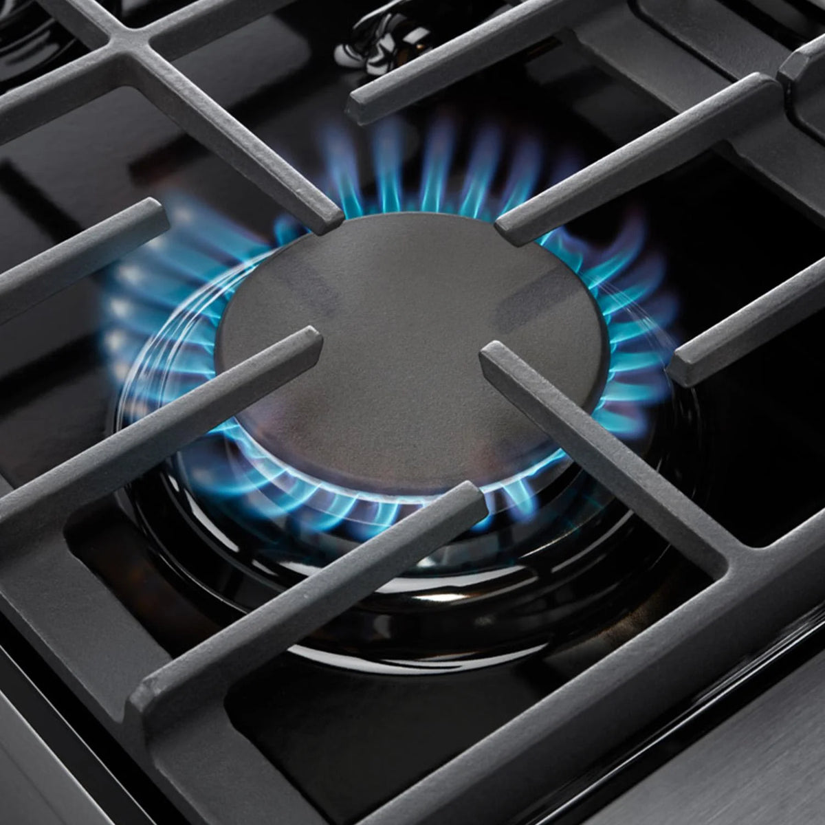 Thor Kitchen Lrg3601ulp Liquid Propane Propane 36" 6.0 Cu. Ft. Single Oven Professional