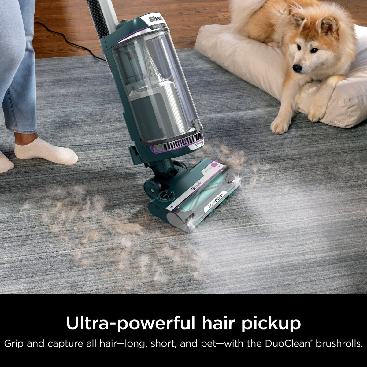 Shark POWERDETECT Upright Vacuum, Pet-Friendly, Two Brushroll System, Powerful Suction, DuoClean Detect, Self-cleaning Brushroll, Odor Neutralizer, LED Lights, AZ4000 Black/Teal