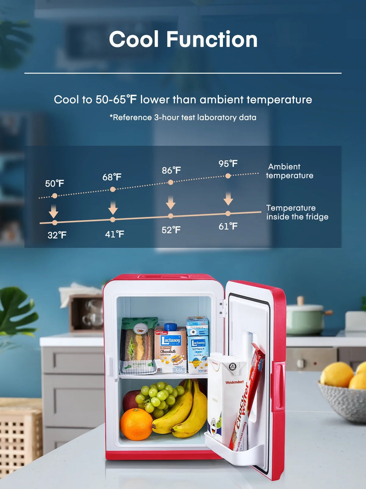 15L Mini Fridge, 21 Can Bedroom Refrigerator, Portable Cooler &Warmer, Beverage & Skincare, 110V/12V, Black