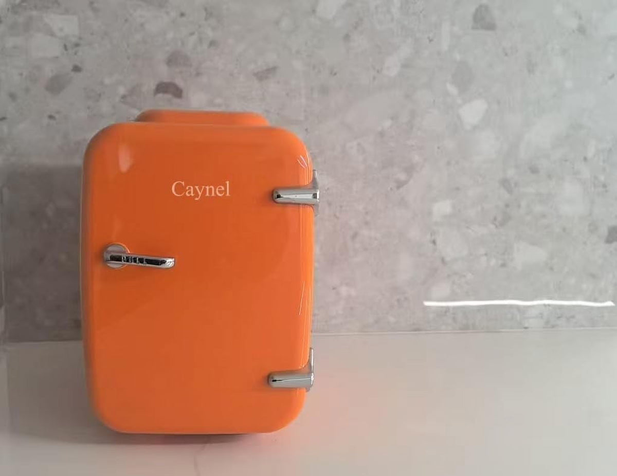 Fridge Portable Thermoelectric 4 Liter Cooler and Warmer for Skincare,  Friendly Beauty Fridge For Foods,Medications, Cosmetics, Breast Milk, Medications Home and Travel