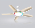 Ventilateur de plafond ROGLOW pales effet bois avec anneau LED RGB, vue d'ensemble