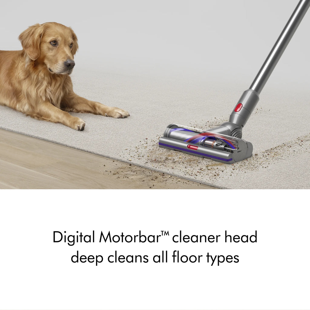 Dyson V15 Detect Vacuum | Nickel | New