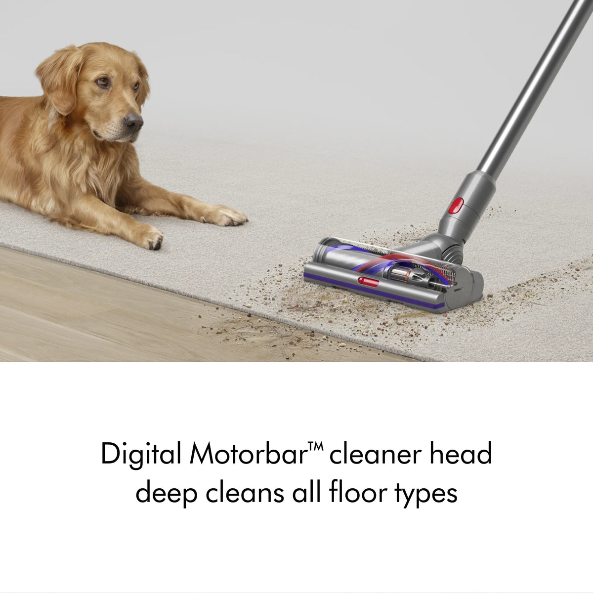 Dyson V15 Detect Vacuum | Nickel | New