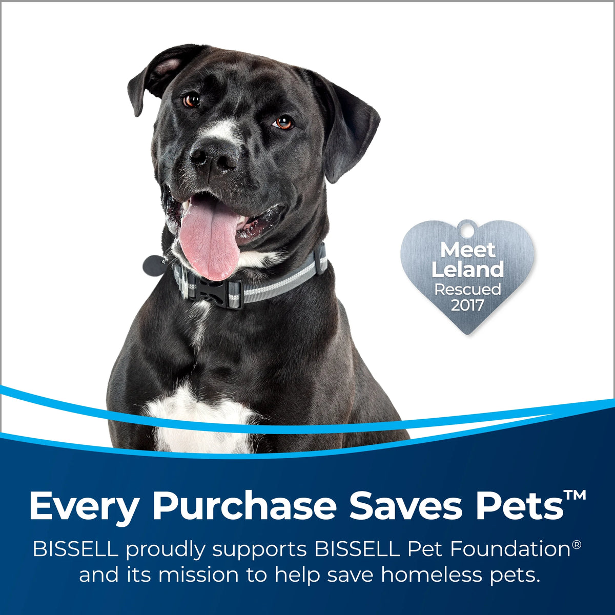 BISSELL? PowerClean? Allergen Lift-Off? Pet Upright Vacuum (3399)