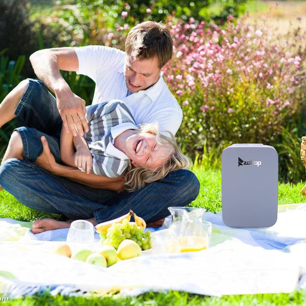 Mini Fridge Electric Cooler and Warmer, Portable Compact Thermoelectric Personal Refrigerator, 6 Liter Capacity, Chills 8-can 12oz Cans, for Car Accessories, Home, Office, Dorm or Boat, S11380