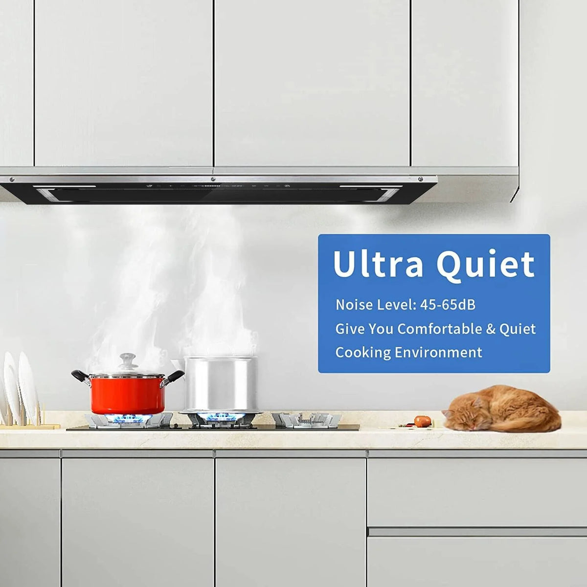 30 inch Built-in Insert Range Hood 900CFM Tempered Glass Kitchen Vent Hood